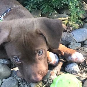 Meet your Posher, Kari